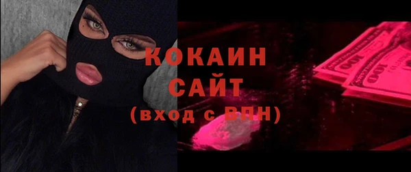 мдпв Осташков