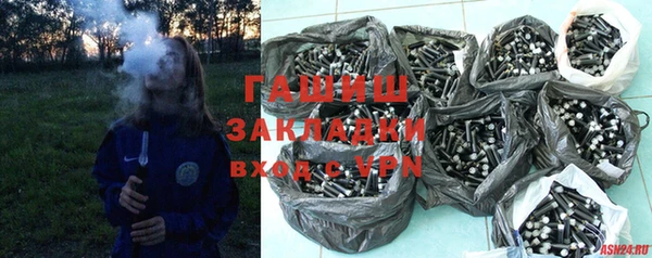 шишки Гусиноозёрск