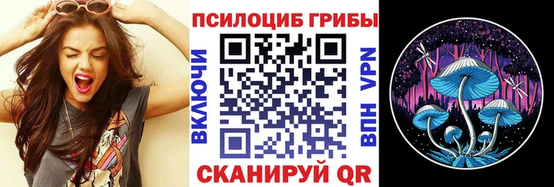 Галлюциногенные грибы Psilocybine cubensis  Бабушкин 